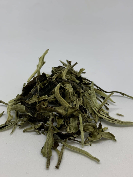 Close up image of one of the new white teas from Local Tea Company in Sarasota Florida