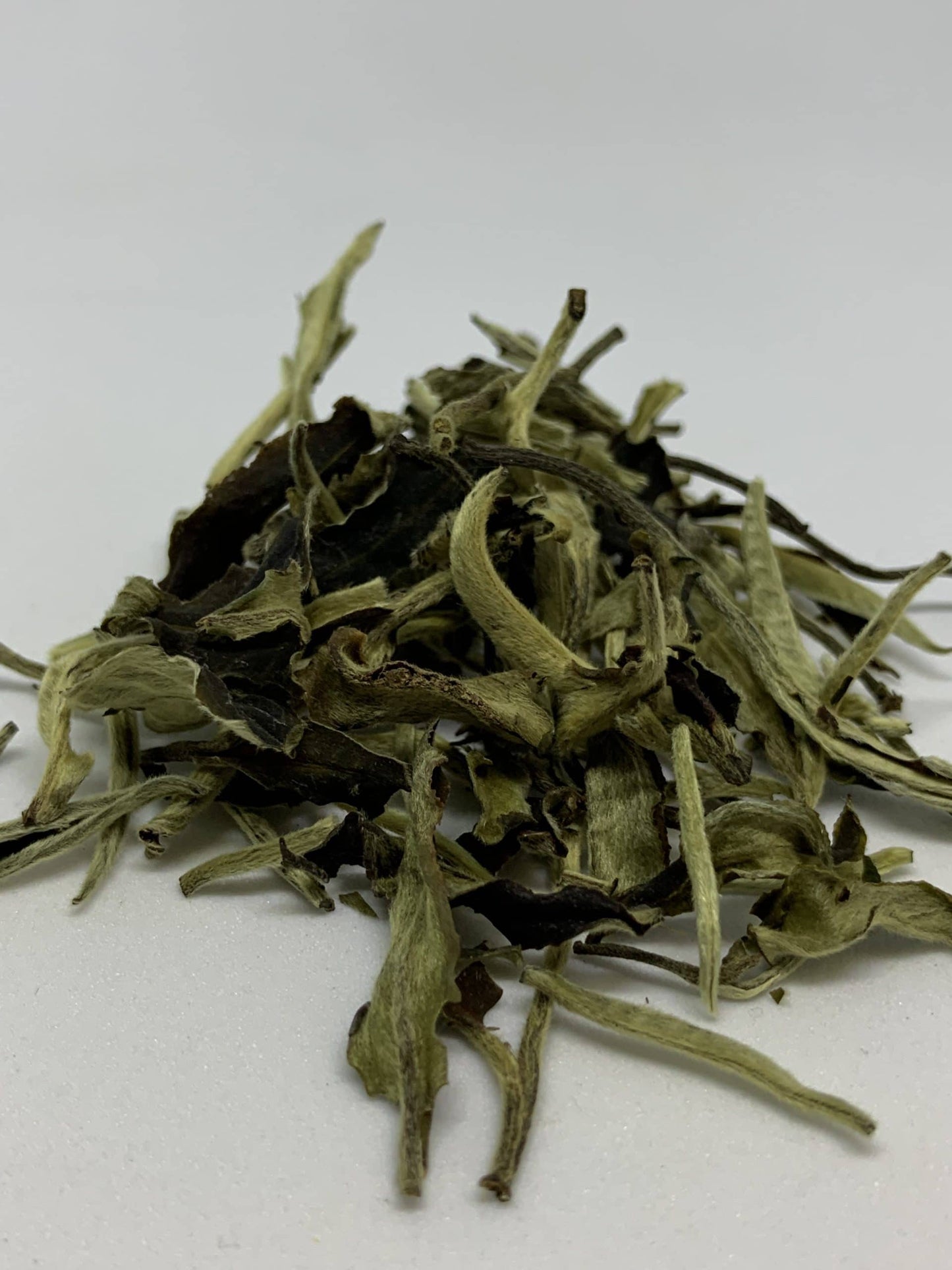 Night White Tea from Local Tea Company in Sarasota, Florida.